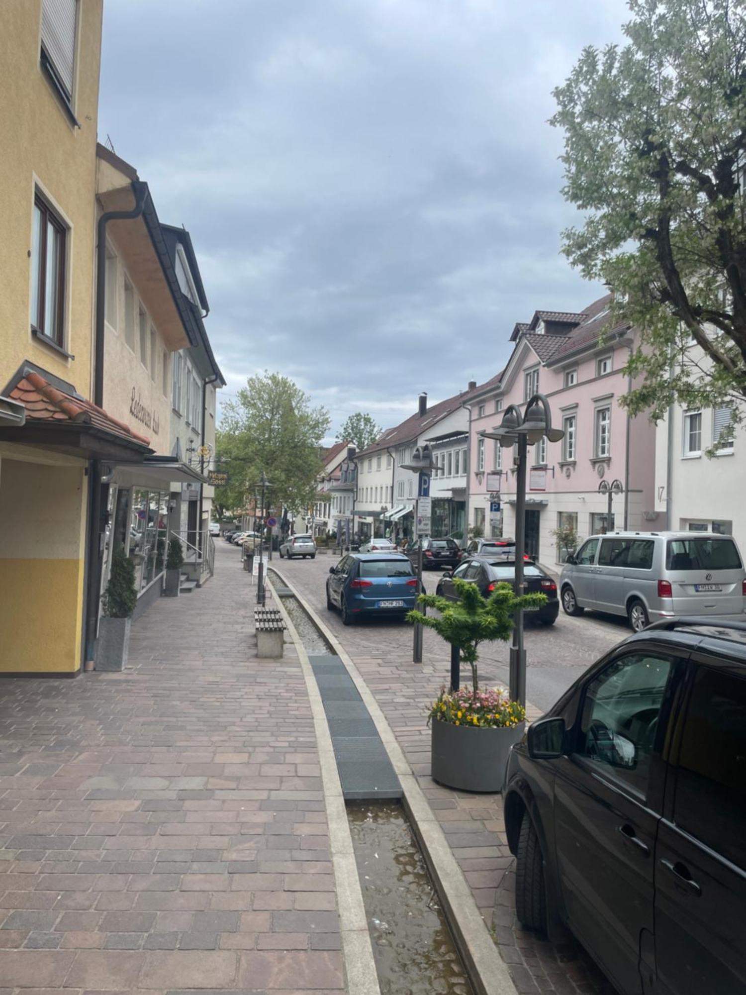 Golden Poodle Luxusappartment Am Neuen Schloss Tettang Tettnang Exterior foto